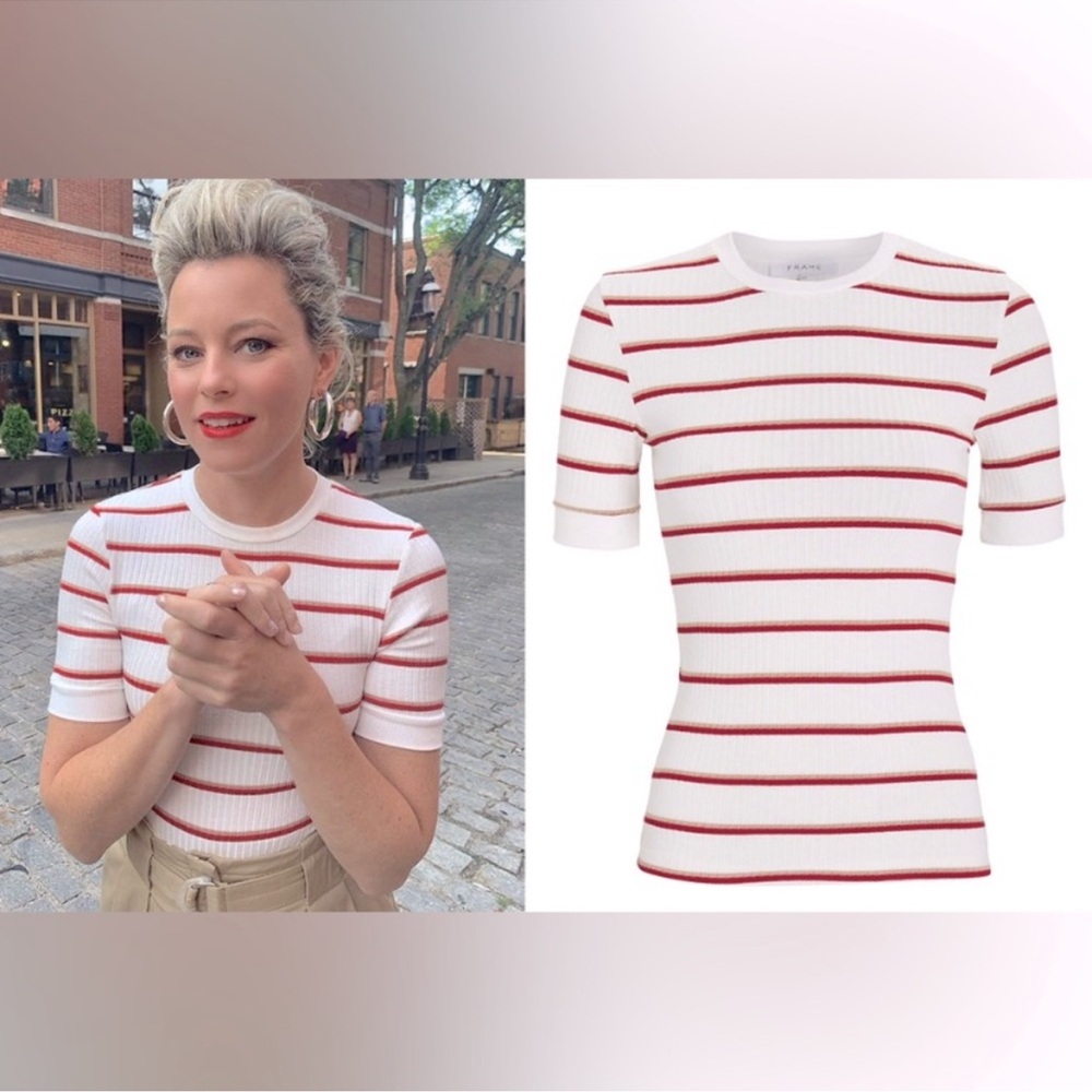Frame Denim 70s Striped Fitted T Shirt in Burnt Henna Multi Size S